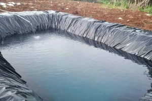 Rơi xuống hồ chứa nước tưới sầu riêng, cháu bé 3 tuổi tử vong