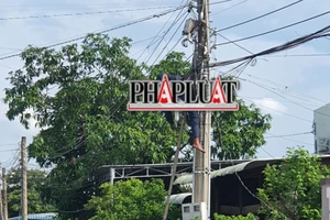 Leo cột điện, bị điện giật tử vong