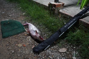 Công an tỉnh Tây Ninh bắt quả tang 84 người câu cá ăn tiền