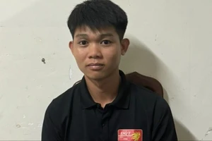 Lái xe tải không thắt dây an toàn còn xài bằng lái, CMND giả