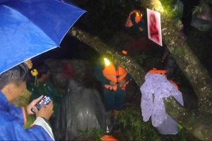 3 thiếu niên đi bắt cá bị kẹt giữa sông Đồng Nai