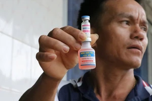 Cục Thú y đến Lâm Đồng làm rõ nguyên nhân bò sữa chết sau khi tiêm vaccine