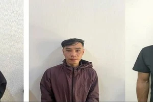 Sử dụng 2 ô tô 7 chỗ đi cắt trộm gần 200 trái sầu riêng