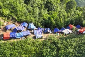 Trưởng thôn Kho Vàng dời 115 người dân lên núi: Tôi phải tự quyết vì mất liên lạc 