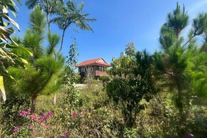 Bắt nguyên Trưởng phòng TN&MT huyện Bảo Lâm