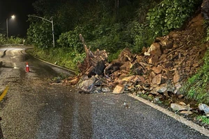 Mưa lớn kéo dài, đèo Bảo Lộc bị sạt lở