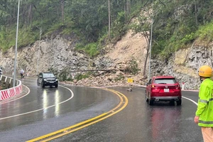 Đèo Prenn bị sạt, đá và cây chắn ngang đường