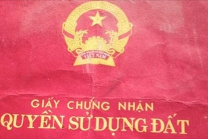 Chỉ thị mới của Chủ tịch tỉnh Lâm Đồng về cấp sổ đỏ cho người dân