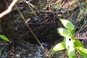 Phát hiện thi thể nghi là bác sĩ cháy đen ở TP Bảo Lộc