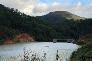 Tỉnh Lâm Đồng thu hồi 45 dự án cho thuê môi trường rừng