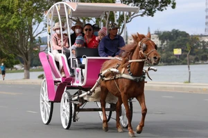 Du khách ngỡ ngàng vì Đà Lạt cấm xe ngựa dạo Hồ Xuân Hương