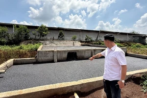 Dân kêu cứu vì trại heo gây ô nhiễm giữa khu dân cư