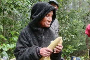 Tìm thấy cụ ông lạc 6 ngày trong rừng sâu 