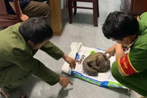 Lâm Đồng: Biểu dương hai người có hành động đẹp ở Cát Tiên 3 