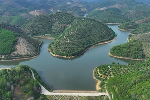 Lâm Đồng triển khai loạt chương trình, đề án lớn thực hiện quy hoạch lâm nghiệp 