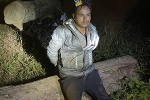 Công an xã Bảo Lâm 5 bắt nhóm hạ 6 cây gỗ dổi khu vực thủy điện ĐN4