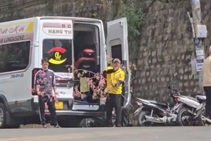 Lời khai của người bẻ cành mai anh đào tại Đà Lạt