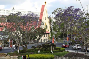 Tòa Giám mục Đà Lạt kêu gọi giáo dân tích cực tham gia bầu cử