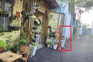 Tranh cãi chậu cây lấn lối đi, một người bị đánh bất tỉnh 