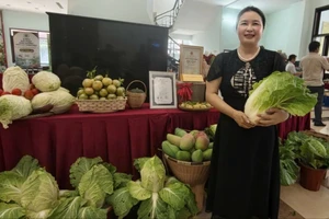 Lâm Đồng mở rộng đầu ra nông sản bằng liên kết chuỗi và thương mại điện tử