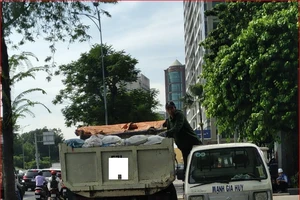 Đậu xe trên vỉa hè 