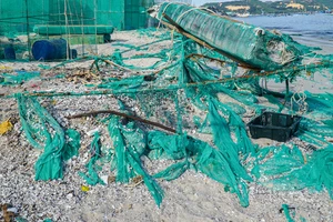 Bãi biển ở Cam Ranh tràn ngập rác từ lồng nuôi tôm