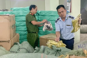 Tạm giữ hàng ngàn túi xách, nước hoa... không rõ nguồn gốc trên xe container