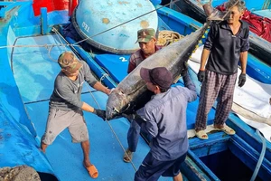 Để cá, tôm Việt Nam 'xuyên thủng' những thách thức mới