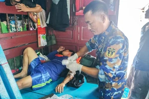 Ngư dân bị cá cắn phải cấp cứu trên biển 