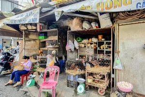 Hàng quán bán thịt gà đóng cửa, chợ vắng người mua sau các vụ ngộ độc ở Nha Trang