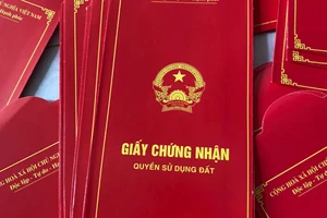 Khởi tố Trưởng phòng Tài nguyên và Môi trường huyện Phù Mỹ