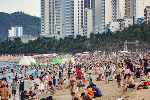 Nha Trang chuẩn bị cho mùa hè 'bùng nổ' 
