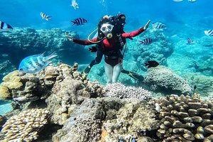 Du khách phải trả phí khi tham quan các đảo trong vịnh Nha Trang, cao nhất 40.000 đồng