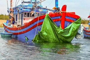 Đã tìm thấy tàu vận tải va chạm làm tàu cá chìm rồi bỏ chạy