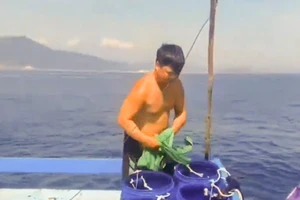 Truy tìm tàu vận tải Việt Thuận va chạm với tàu cá rồi bỏ chạy 