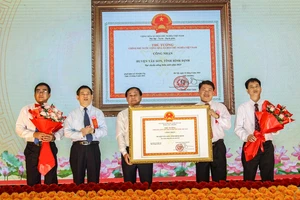 Phó Thủ tướng Hồ Đức Phớc dự lễ công bố huyện Tây Sơn đạt chuẩn nông thôn mới