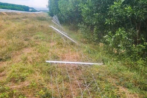 Hàng rào cao tốc Vân Phong - Nha Trang bị tháo trộm