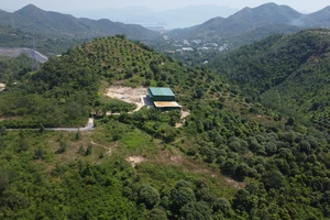 Chính quyền xã nhận sai sót để xảy ra xưởng ma túy lớn nhất tại Việt Nam