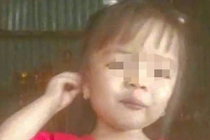 Vẫn chưa tìm thấy bé gái 2 tuổi mất tích ở Lâm Đồng