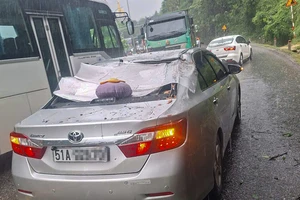 Mưa lớn, cây rừng ngã đổ đè trúng ô tô con trên đèo Bảo Lộc