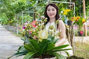 Nghệ nhân đến từ Lâm Đồng giật giải đặc biệt cuộc thi hoa lan