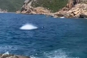 Xác minh clip nghi dùng thuốc nổ đánh bắt cá ở Khánh Hòa