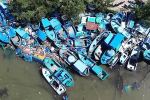 Những tiếng khóc bên vịnh Xuân Đài