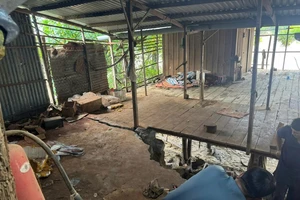 5 km bờ sông Cái Phan Rang sạt lở, uy hiếp khu dân cư