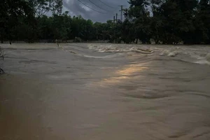 Khánh Hòa mưa cả đêm, nhiều nơi bị chia cắt, nước sông Cái Nha Trang đang lên