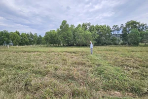 Vụ ruộng bỏ hoang vì cao tốc Khánh Hòa- Buôn Ma Thuột bít đường: Xem xét lại kiến nghị của người dân