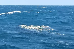 Tàu cá Khánh Hòa cùng 8 ngư dân mất liên lạc hơn 10 ngày