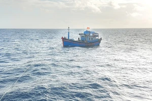 8 ngư dân được cứu không phải của tàu cá mất liên lạc hơn 10 ngày trước