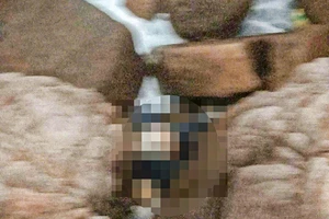 Điều tra vụ thi thể người đang phân hủy trên bờ biển Đầm Môn