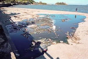 Nước thải vẫn chảy ra vịnh Nha Trang dù trời không mưa